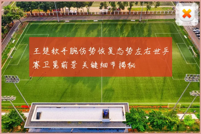 王楚钦手腕伤势恢复态势左右世乒赛卫冕前景 关键细节揭秘